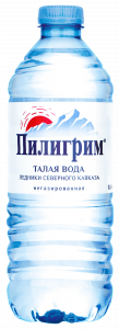 Вода минеральная Пилигрим негаз 0,5л